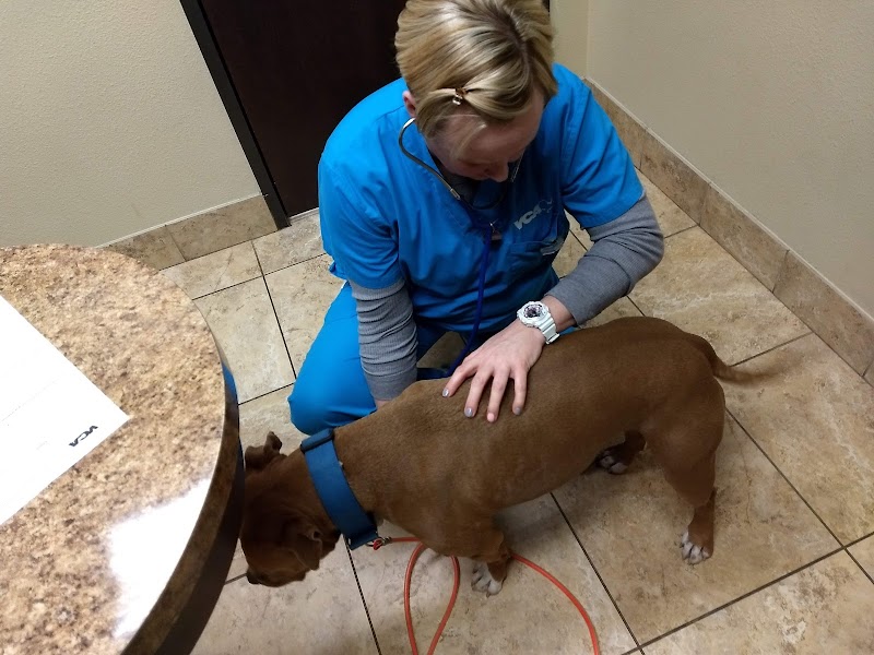 VCA Metroplex Animal Hospital & Pet Lodge