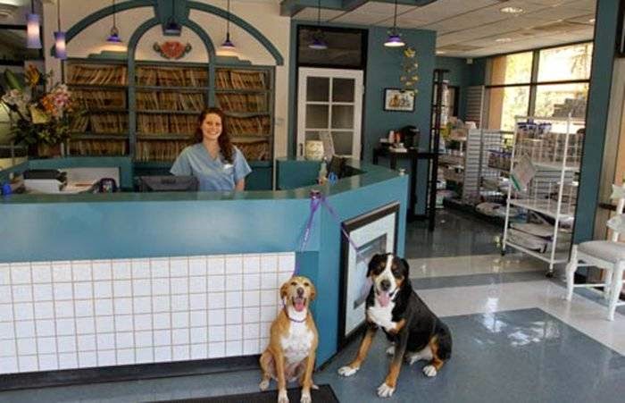VCA Pacific Petcare Animal Hospital