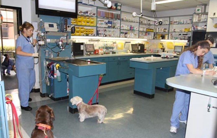 VCA Pacific Petcare Animal Hospital