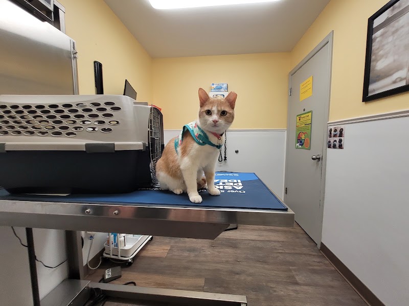 Stoney Creek Veterinary Hospital