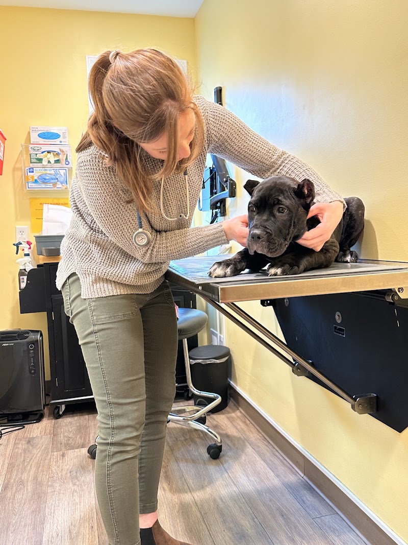 Stoney Creek Veterinary Hospital