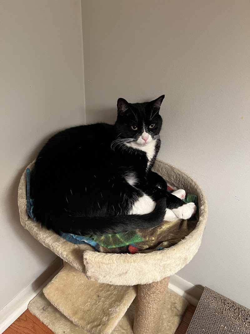 Stoney Creek Veterinary Hospital