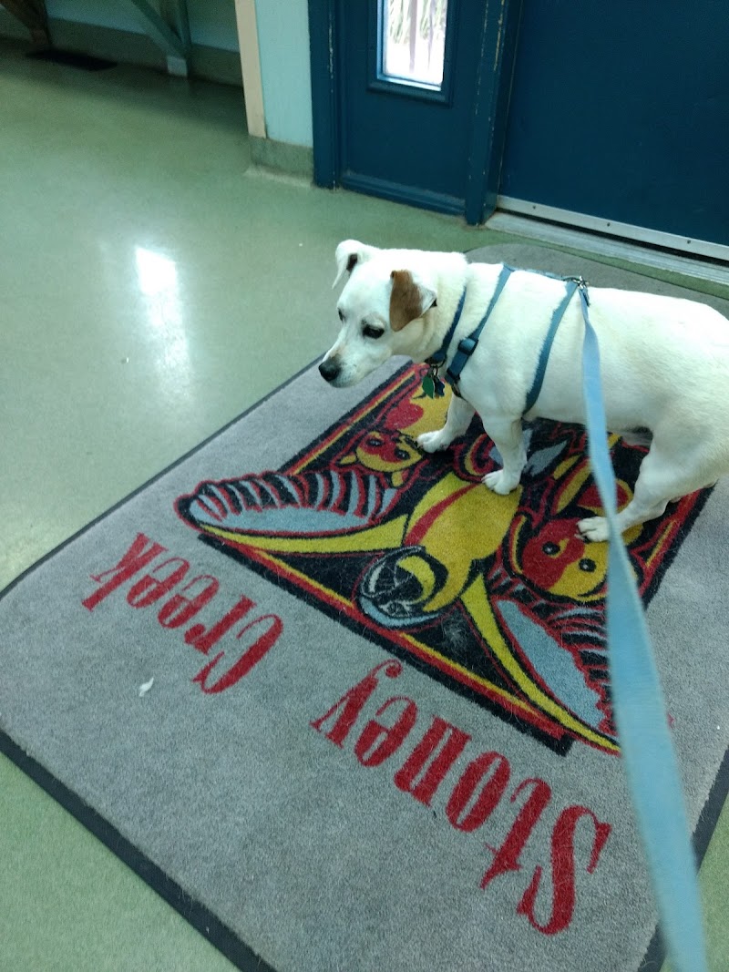 Stoney Creek Veterinary Hospital