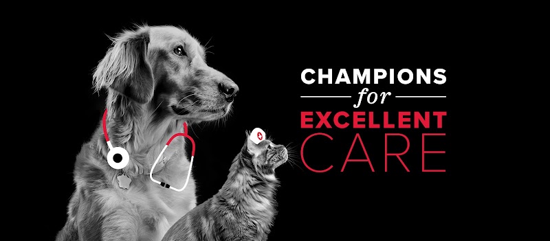 Stoney Creek Veterinary Hospital