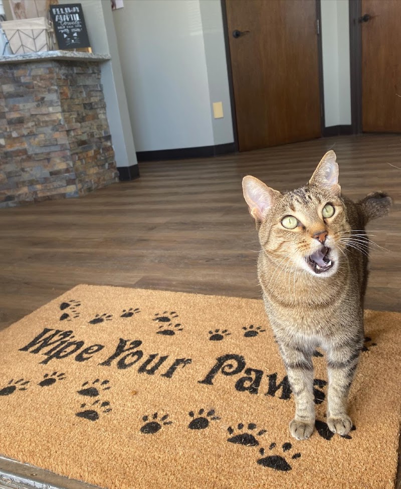 Buckingham-Plano Road Veterinary Clinic