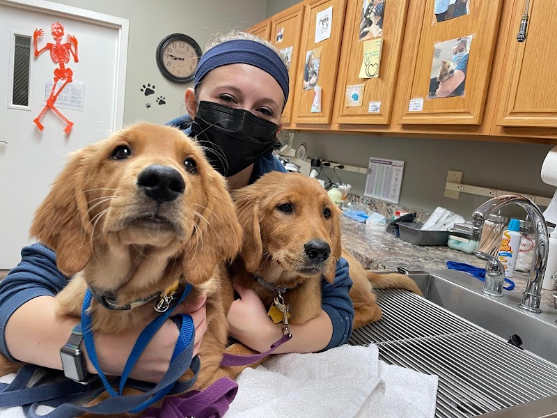 Buckingham-Plano Road Veterinary Clinic