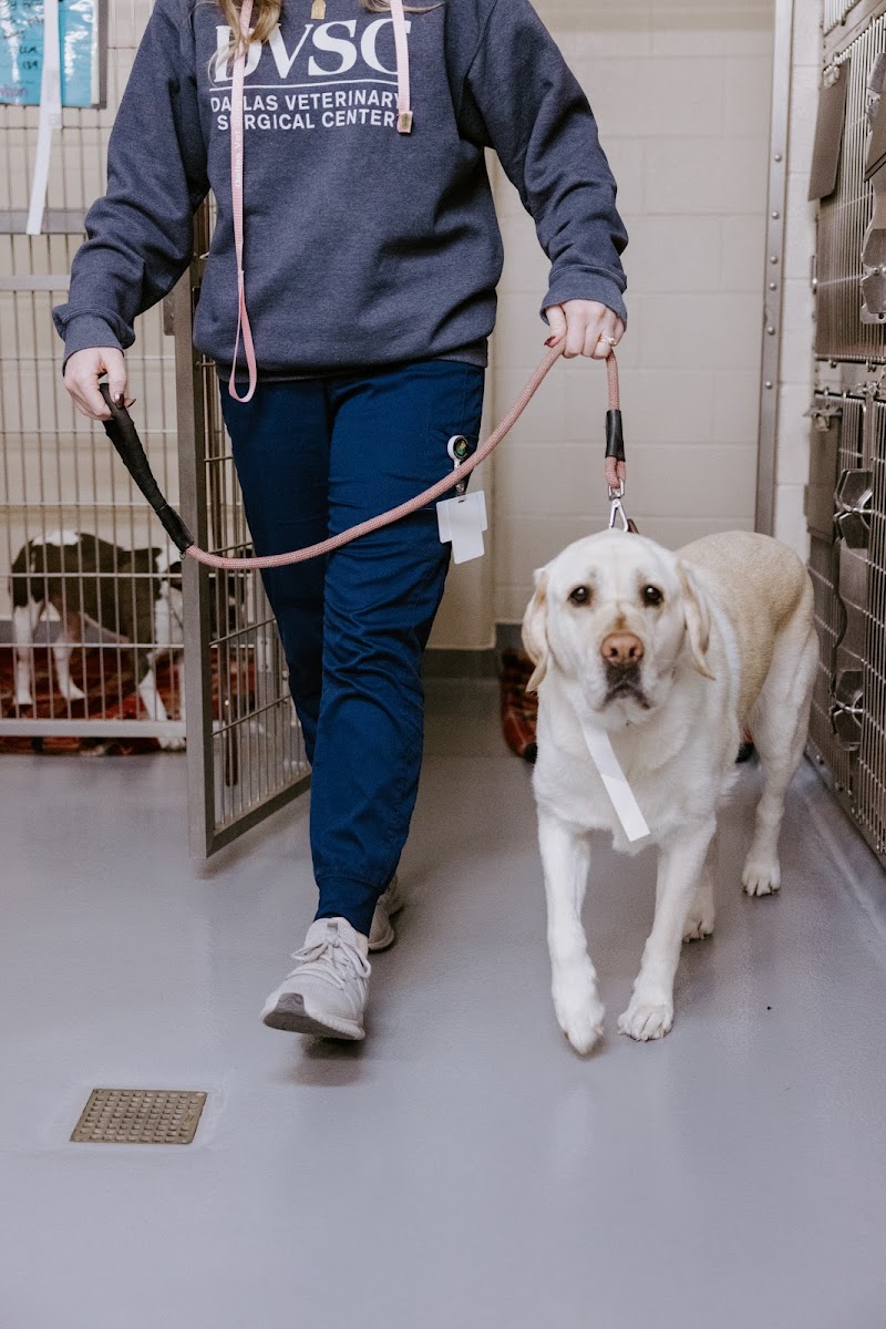 Dallas Veterinary Surgical Center (DVSC) - North Dallas