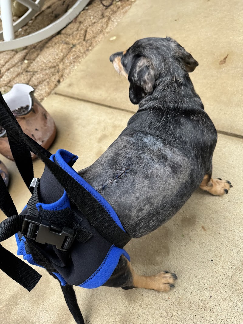 Dallas Veterinary Surgical Center (DVSC) - North Dallas