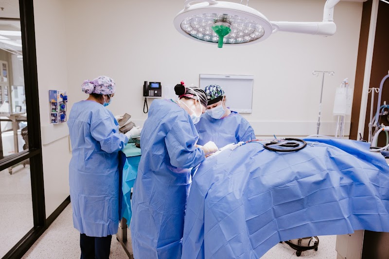 Dallas Veterinary Surgical Center (DVSC) - North Dallas