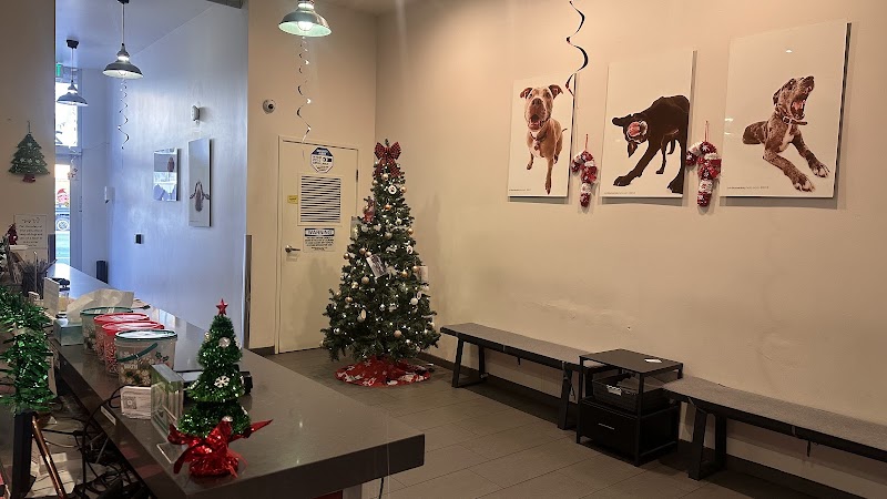 Mohawk Alley Animal Hospital