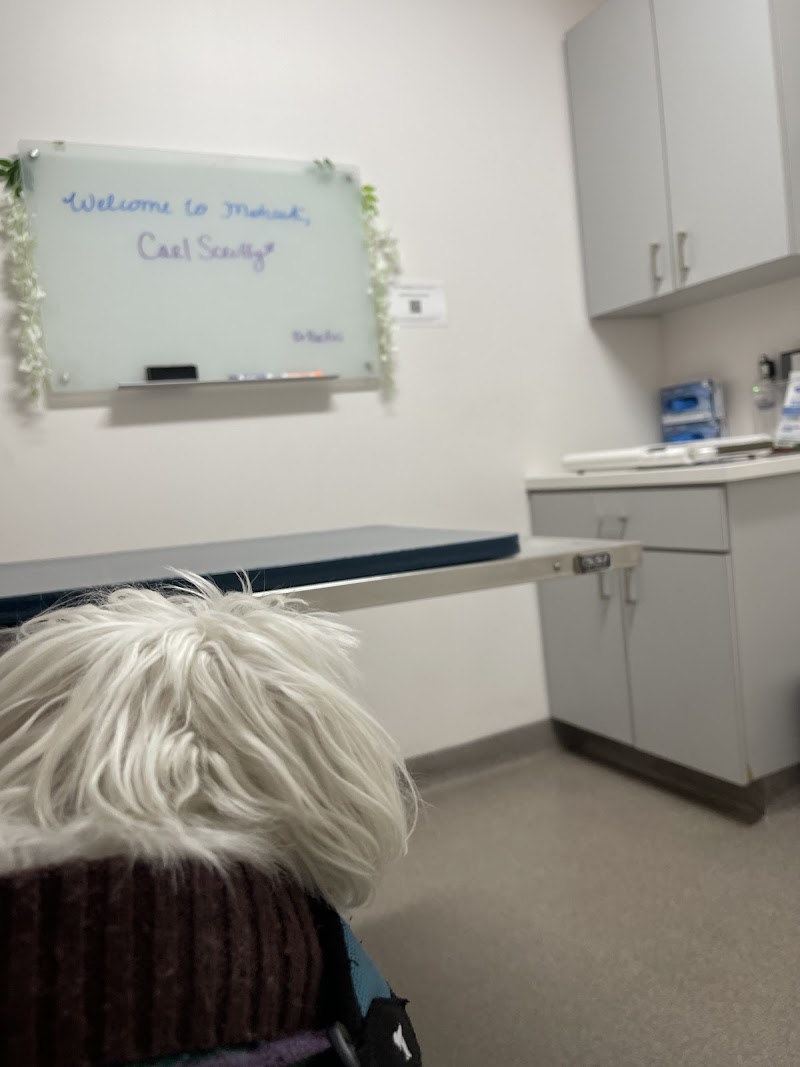 Mohawk Alley Animal Hospital