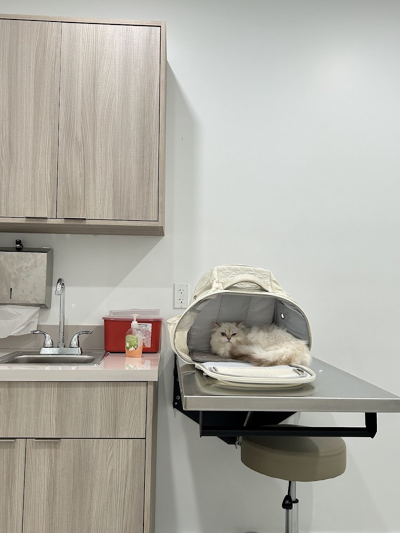 My Pet Hospital - Veterinarian & Emergency Pet Care