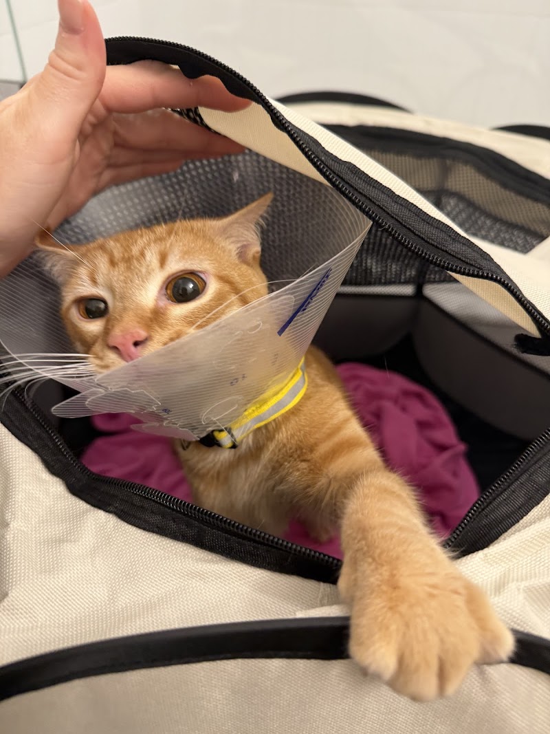My Pet Hospital - Veterinarian & Emergency Pet Care