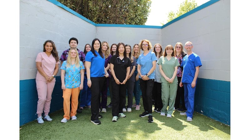 Merrifield Animal Hospital - Fairfax