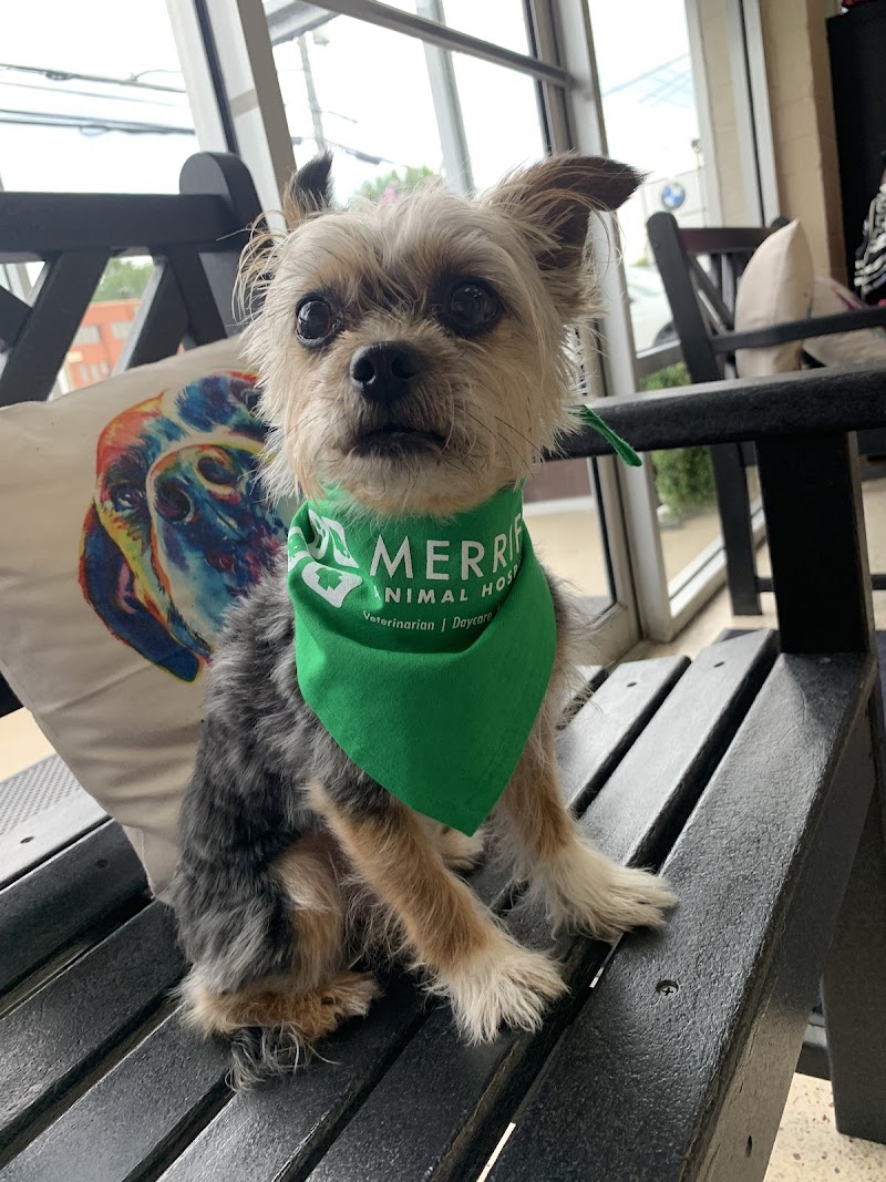 Merrifield Animal Hospital