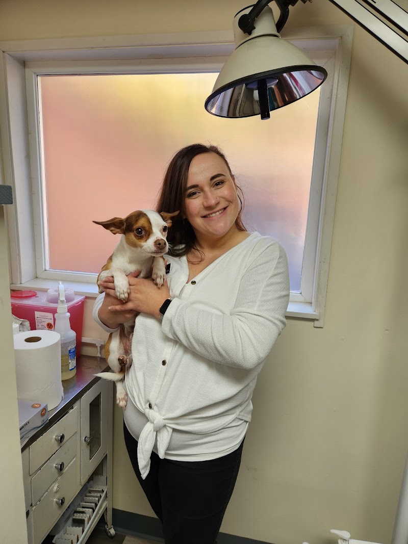 Pet Care Center at Luna Park
