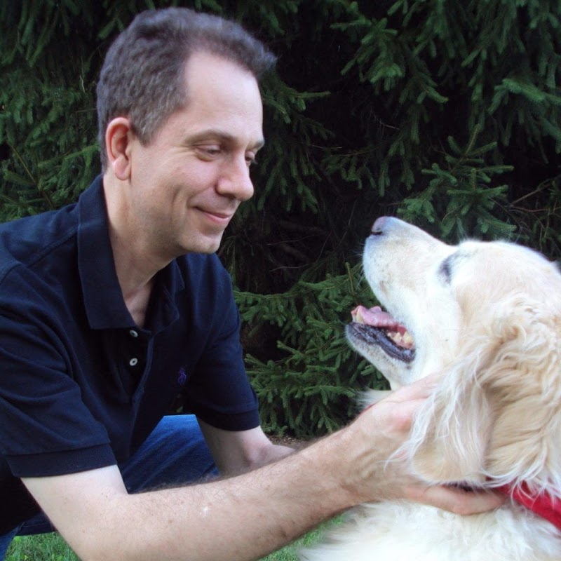 Harrisburg Regional Veterinary Surgical Specialty