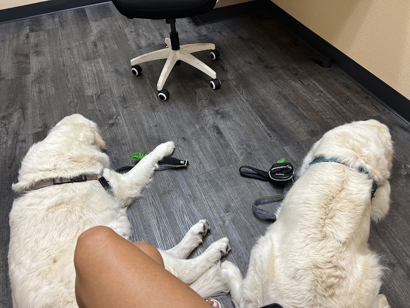 CVCA Cardiac Care for Pets