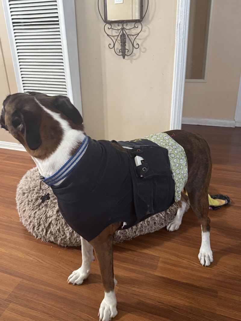 CVCA Cardiac Care for Pets