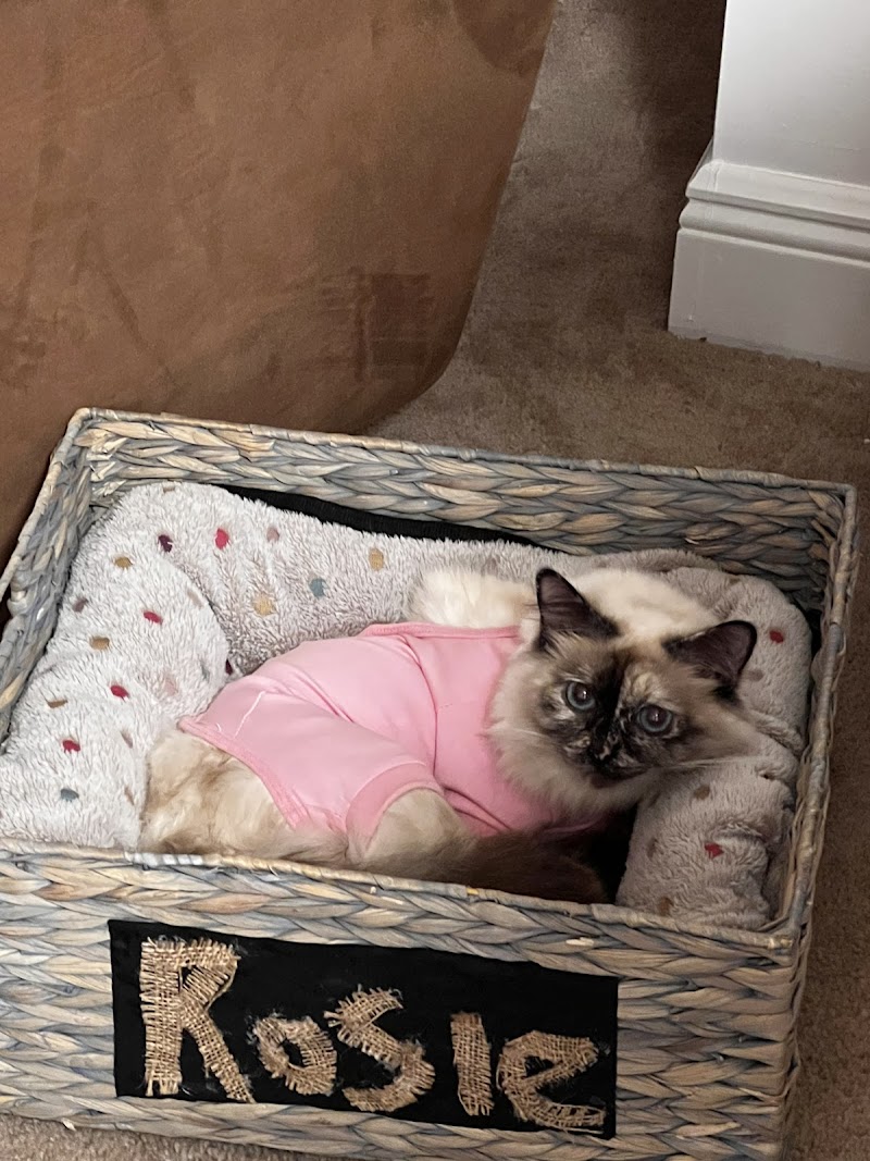 Sawgrass Veterinary Center