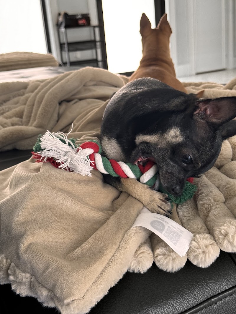 Sawgrass Veterinary Center