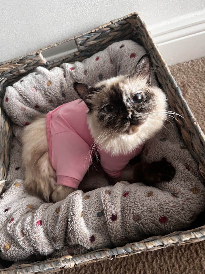 Sawgrass Veterinary Center