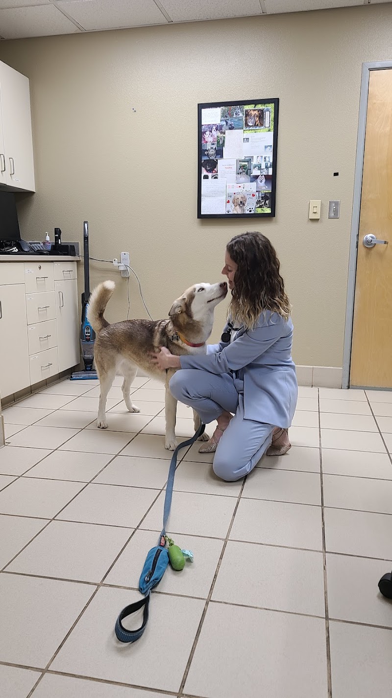 VRCC Veterinary Specialty and Emergency Hospital