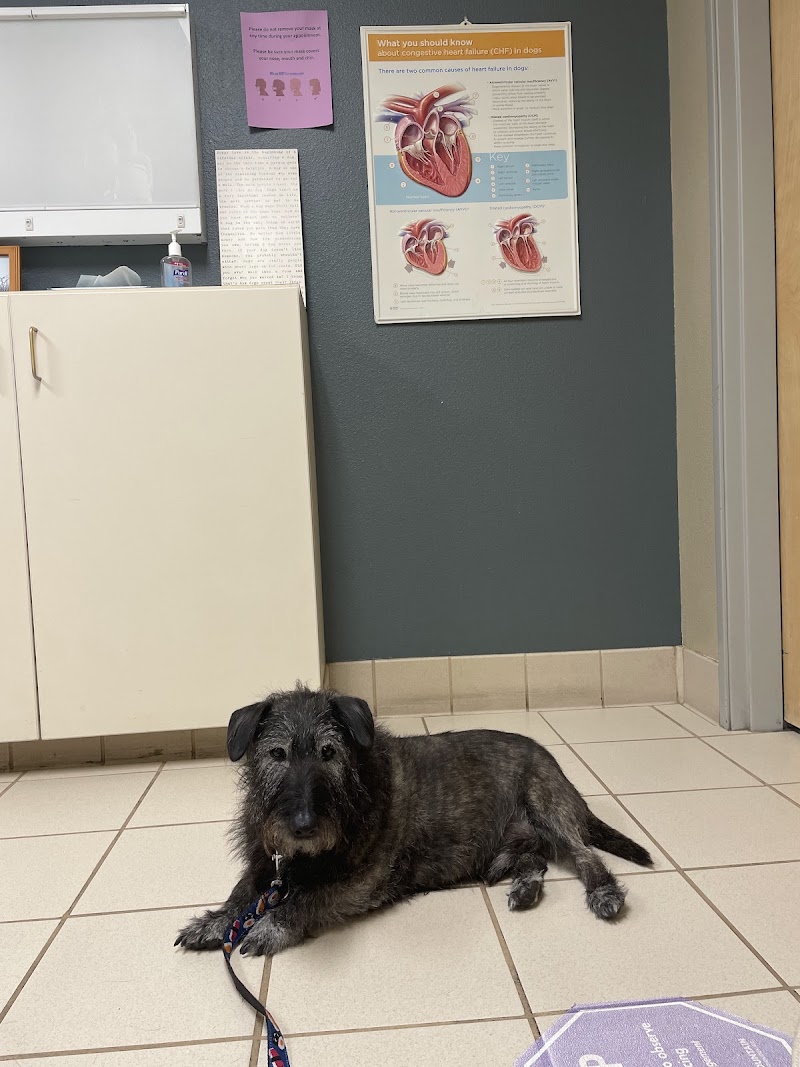 VRCC Veterinary Specialty and Emergency Hospital