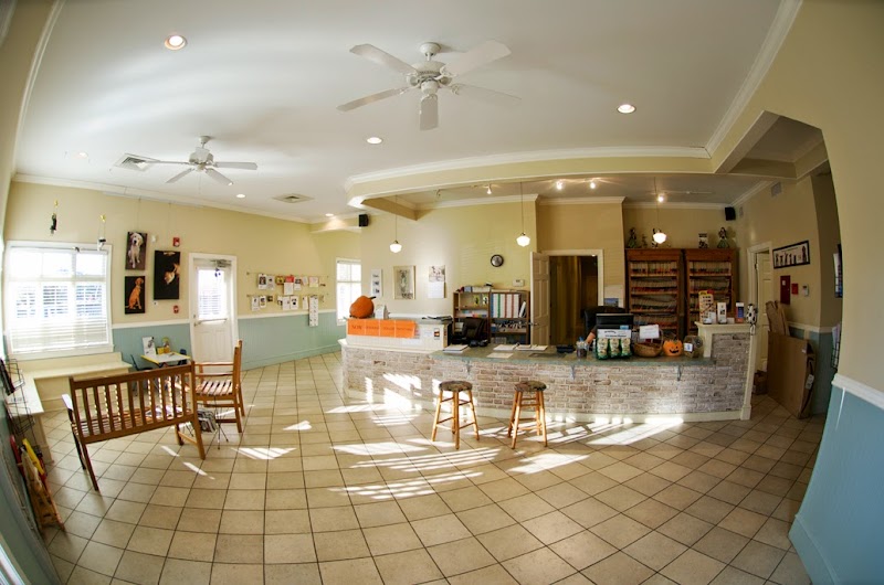 Treehouse Animal Clinic