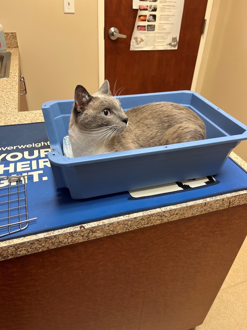 Greater Atlanta Veterinary Medical Group - Marietta