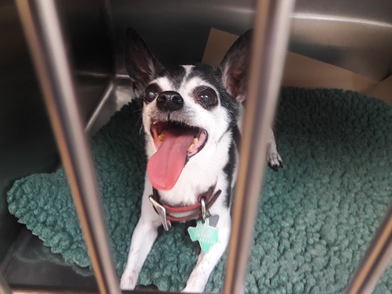 Lincoln Heights Animal Hospital