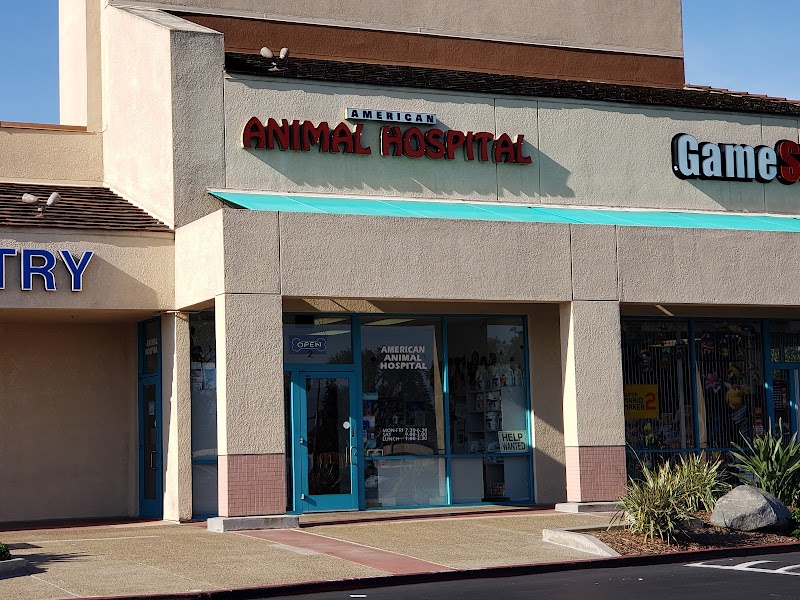 American Animal Hospital