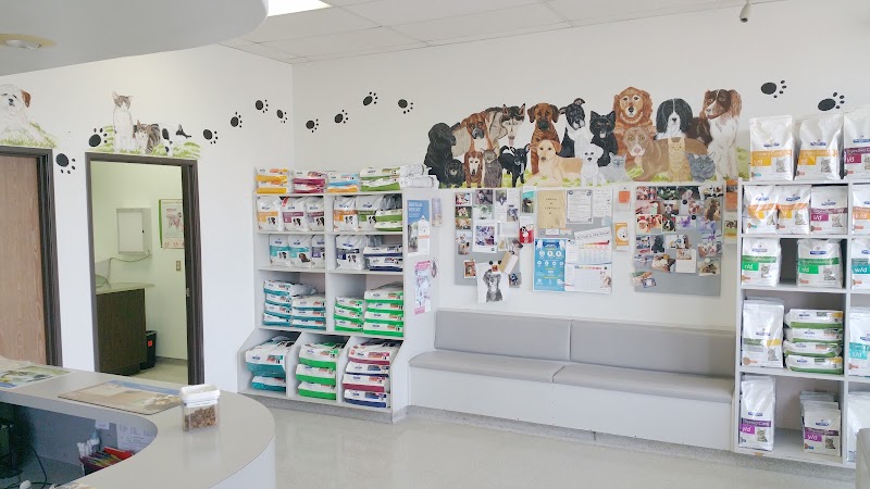 American Animal Hospital