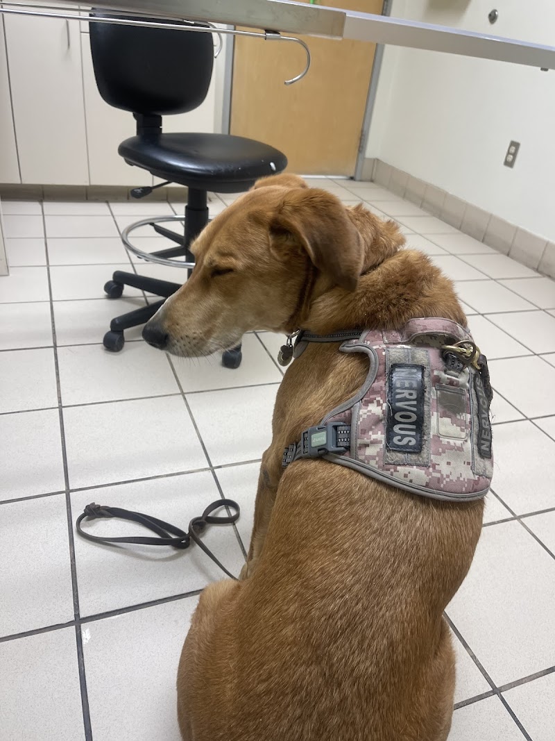 VRCC Veterinary Specialty and Emergency Hospital (Cardiology)