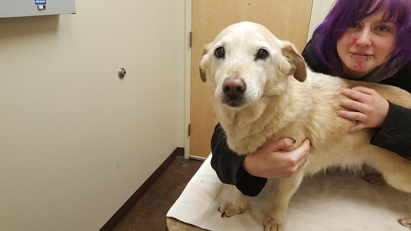Caring Hands Veterinary Hospital (CHVH)
