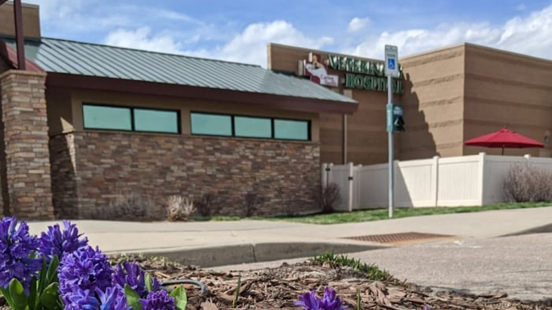 Caring Hands Veterinary Hospital (CHVH)