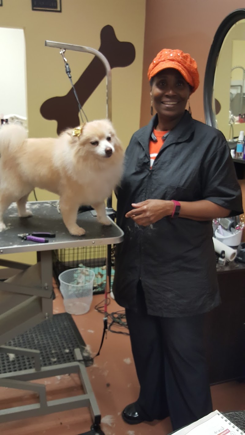 Pet Doctors