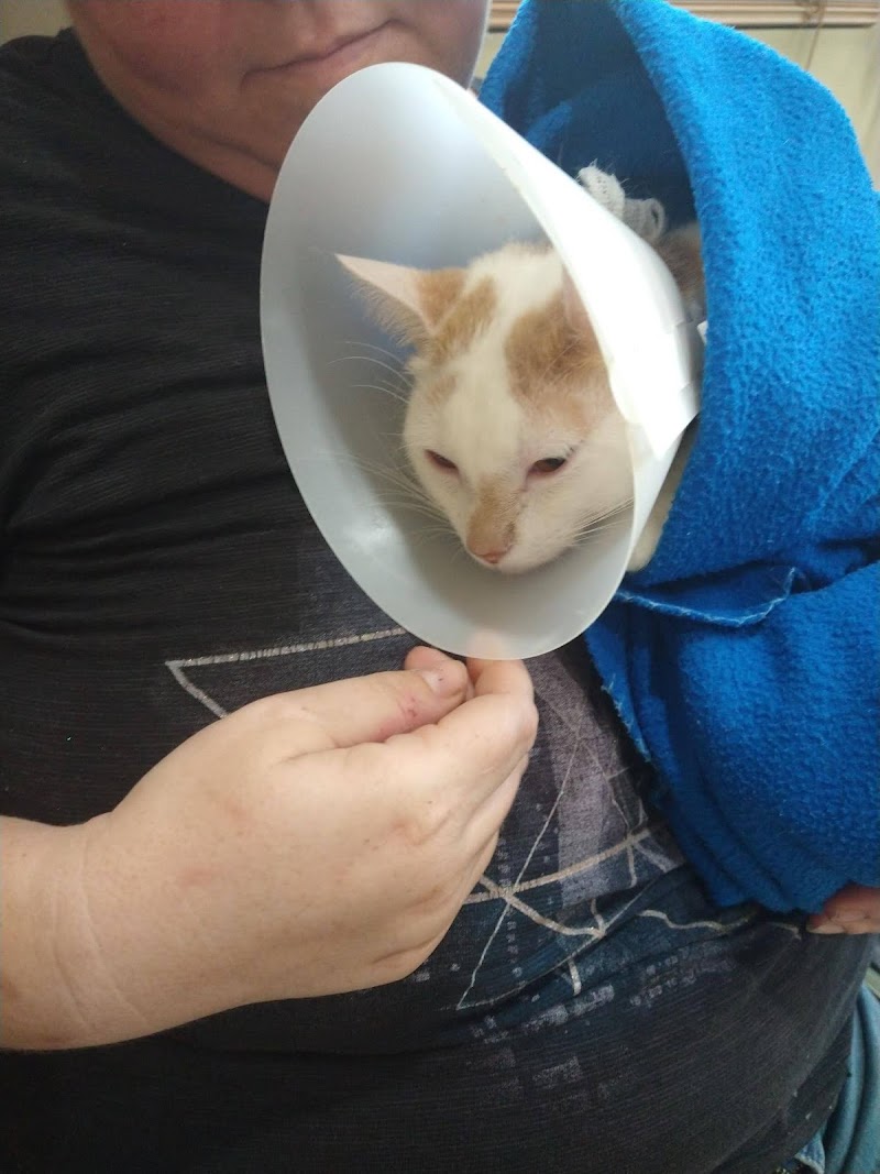 Westside Animal Emergency Clinic