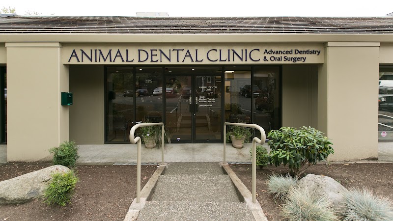 Oregon Veterinary Dental Specialists