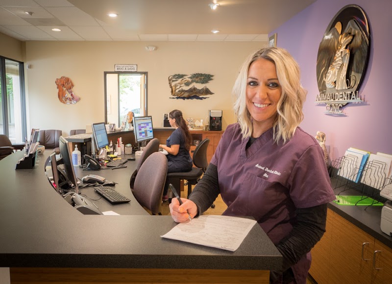 Oregon Veterinary Dental Specialists