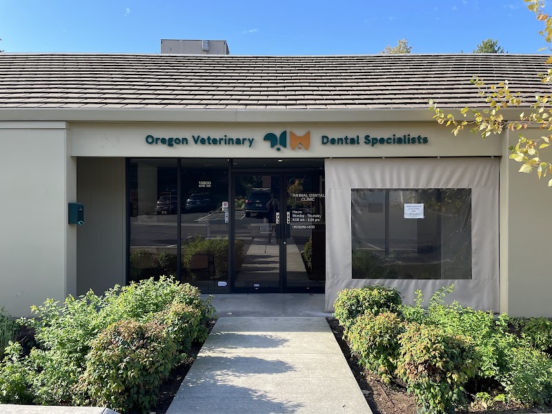 Oregon Veterinary Dental Specialists