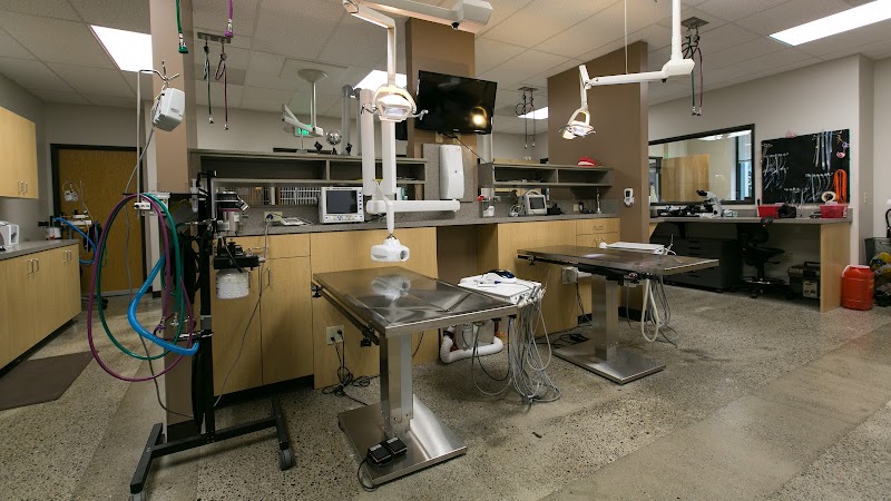 Oregon Veterinary Dental Specialists