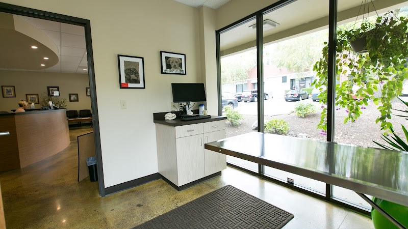Oregon Veterinary Dental Specialists