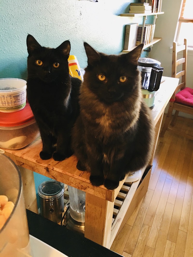Rose City Veterinary Hospital