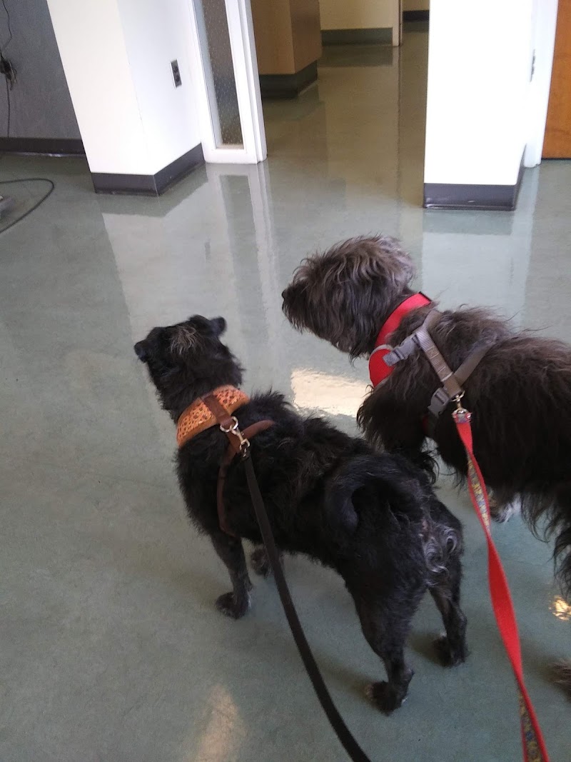 Rose City Veterinary Hospital