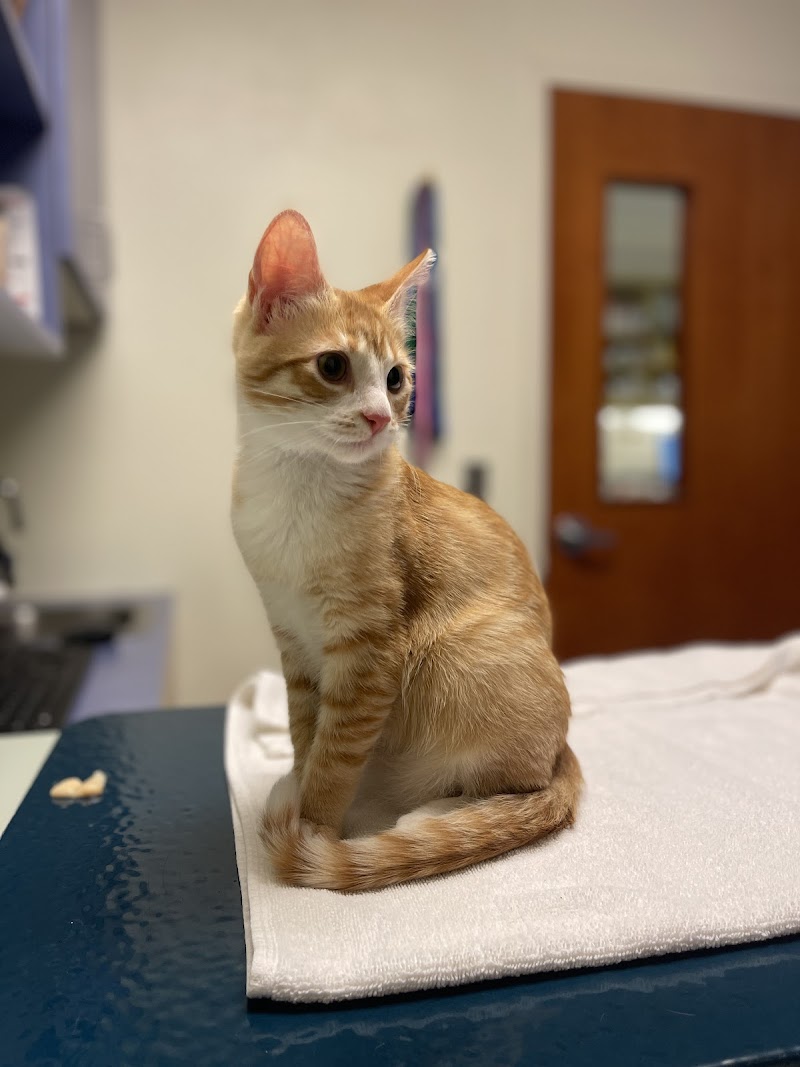 Rose City Veterinary Hospital