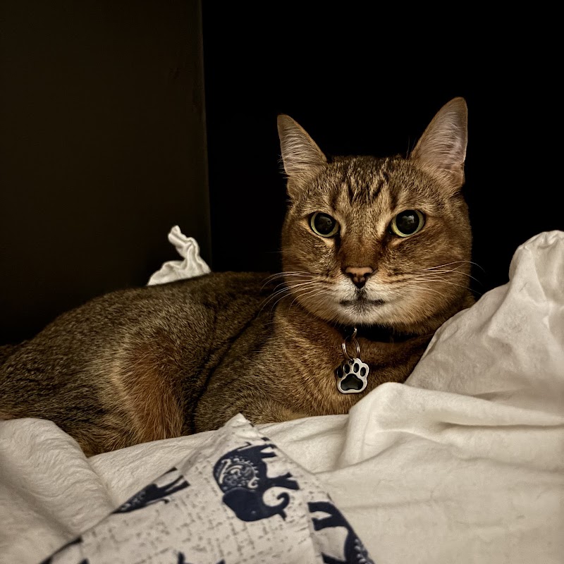 Rose City Veterinary Hospital