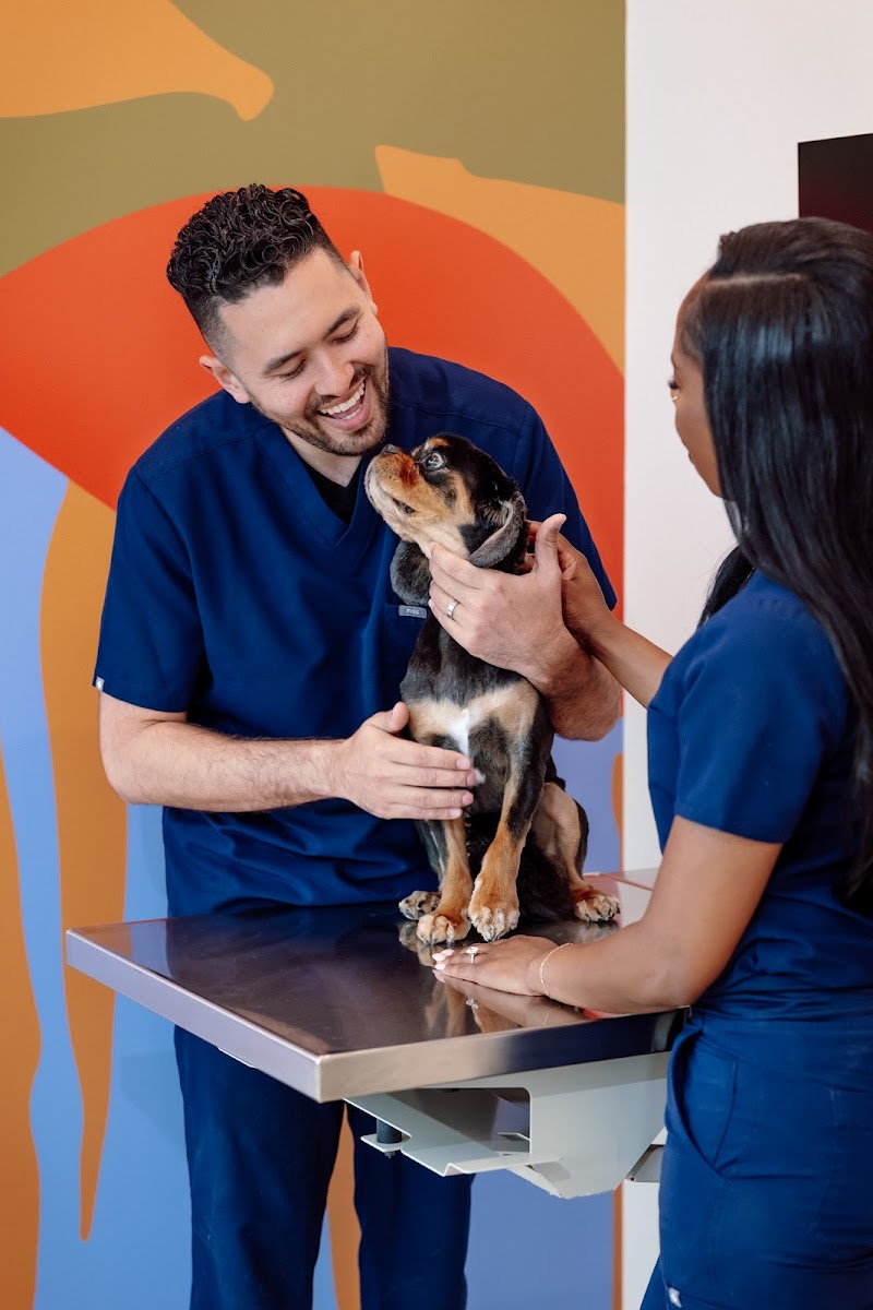 Petfolk Veterinary & Urgent Care - Sugar Land