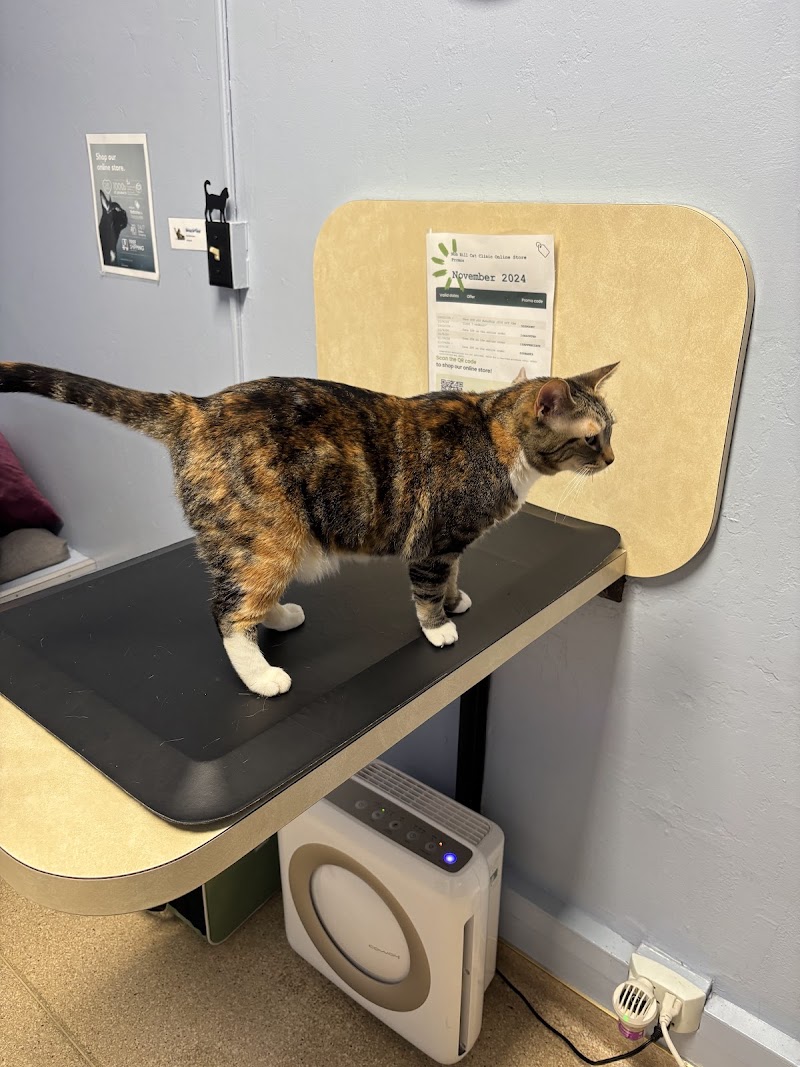 Nob Hill Cat Clinic