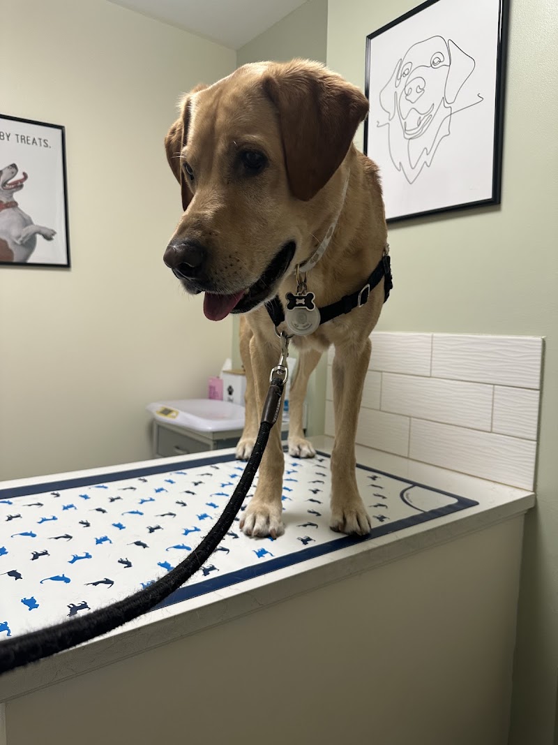 Madison Park Veterinary Hospital